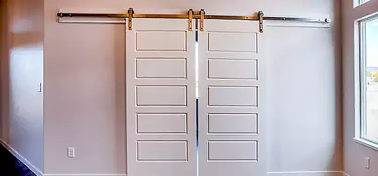 Glass Barn Door with Installation Hardware Kit Artesia