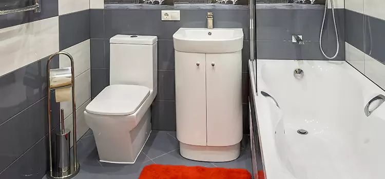 Hansgrohe Shaving Mirror Artesia